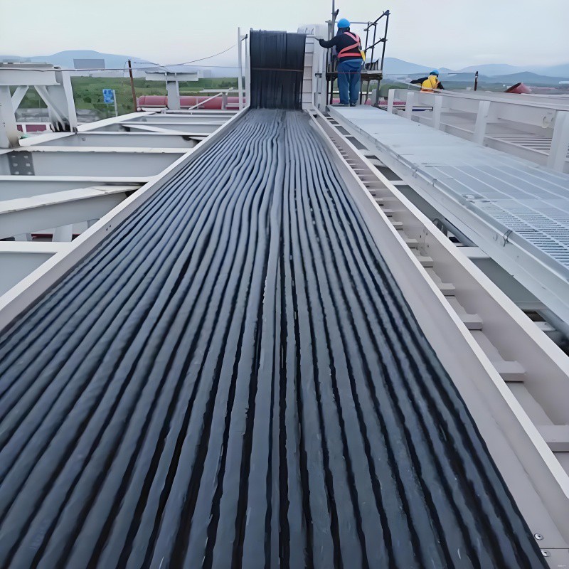 bf978fd98d547554 bf978fd98d547554